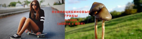 apvp Алзамай