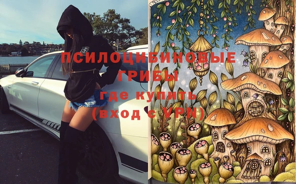 герыч Алексин
