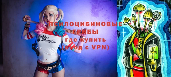 герыч Алексин