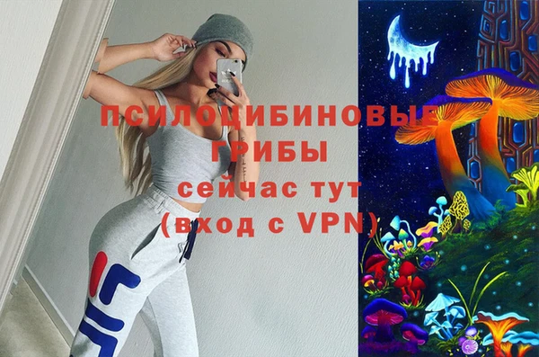apvp Алзамай