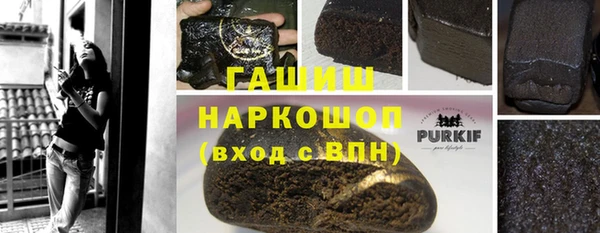 герыч Алексин