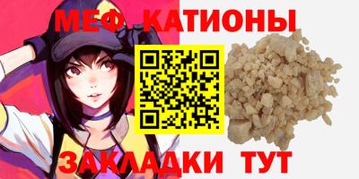 крисы Камышлов