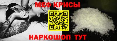 крисы Камышлов