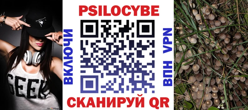 Псилоцибиновые грибы Cubensis  Менделеевск 